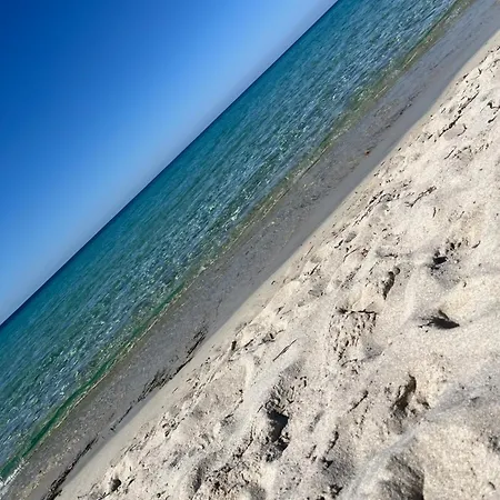 Casa Ella - T2 Vue Au Calme Sant'ambroggio Lumio (Corsica)